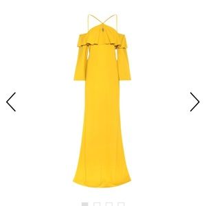 Roberto Cavalli Gown